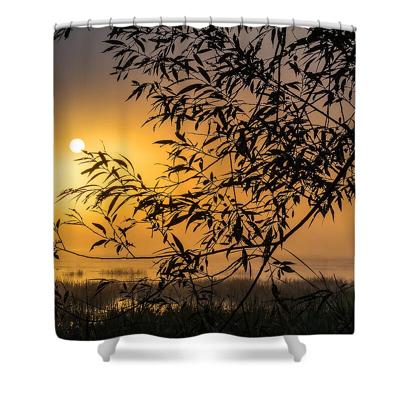 Sun Shower Curtain featuring the photograph Sunrise Fog by Marc Champagne
