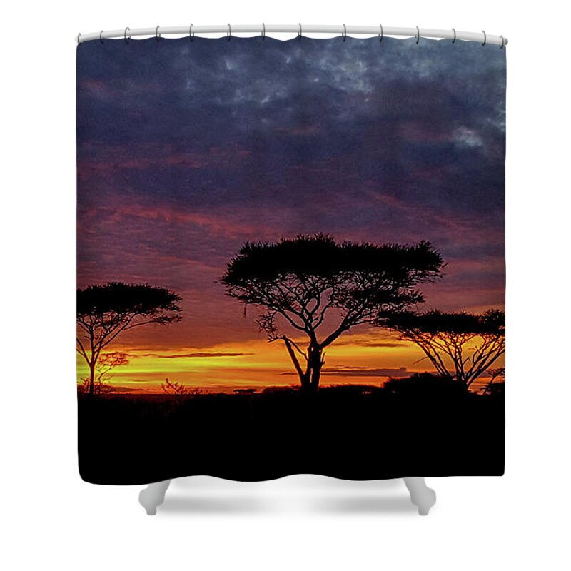 Africa Shower Curtain featuring the photograph Sunrise on the Serengeti by Marilyn Burton
