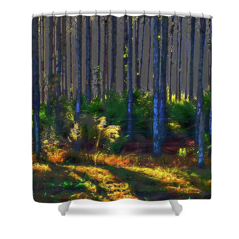 Tree Trunks Shower Curtain featuring the photograph Sunrise on Tree Trunks by Gina O'Brien
