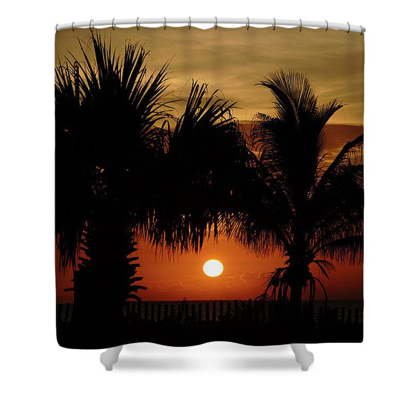 Florida Shower Curtain featuring the photograph Sunrise Palm Window Delray Beach Florida by Lawrence S Richardson Jr