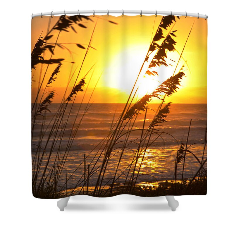 Silhouette Shower Curtain featuring the photograph Sunrise Silhouette by Robert Och