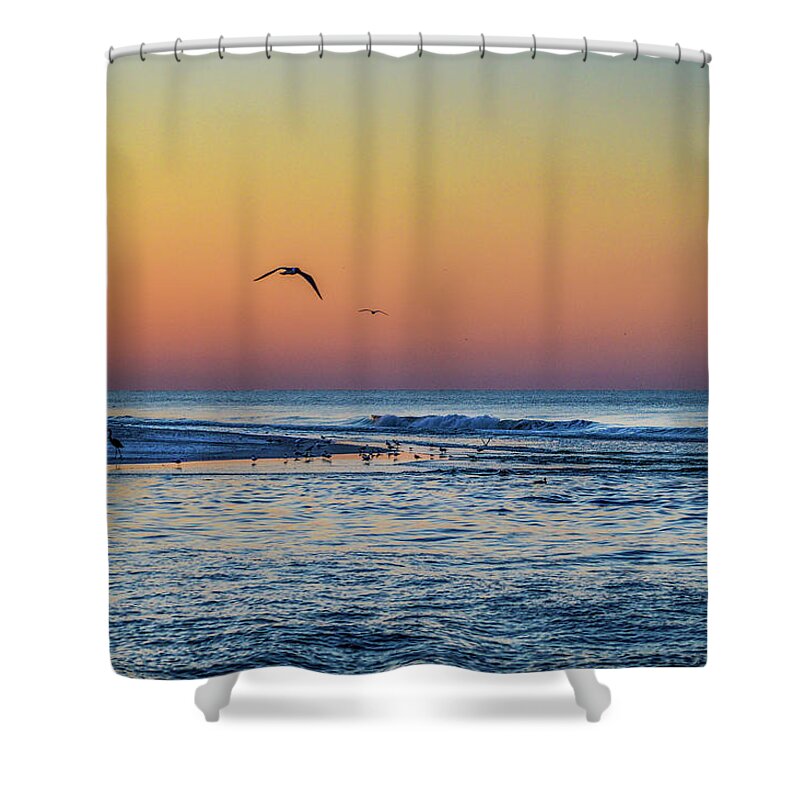 Alabama Shower Curtain featuring the photograph Sunrise with the birds at Little Lagoon Pass by Michael Thomas
