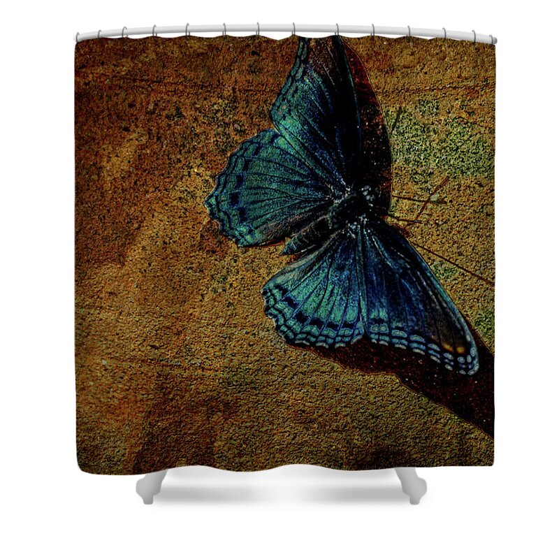 Butterfly Shower Curtain featuring the mixed media Suns Cast Butterfly Art by Lesa Fine