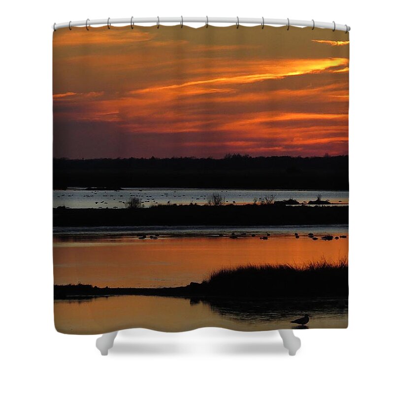 Sunsets Shower Curtain featuring the photograph Sunset at Forsythe Reserve 2 by Melinda Saminski