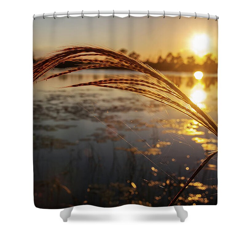 Sunset Shower Curtain featuring the photograph Sunset at Gator Hole 2 by Arthur Dodd