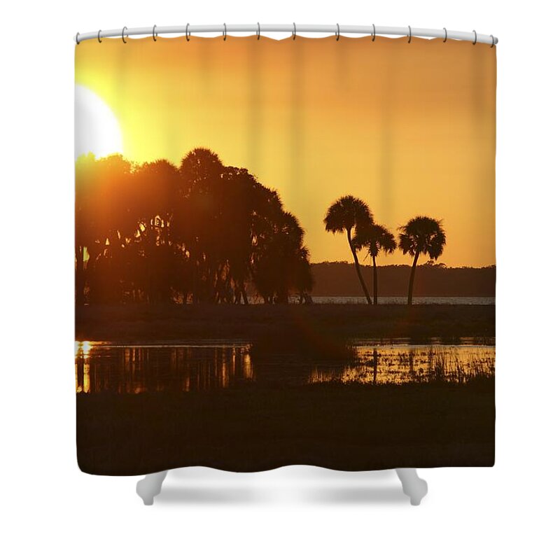 Usa Shower Curtain featuring the photograph Sunset at Myakka River State Park in Florida, USA by Gary Corbett