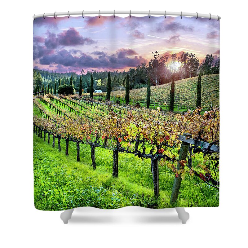 Napa Shower Curtain featuring the photograph Sunset at the Palmers by Jon Neidert