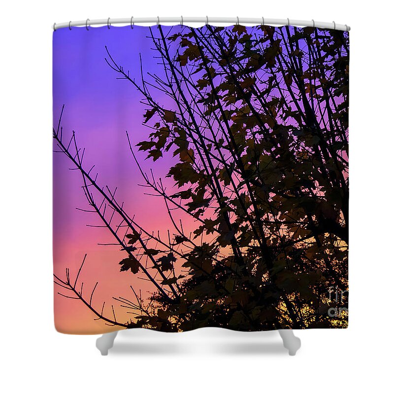 Trees Shower Curtain featuring the photograph Sunset behind trees by Colin Rayner