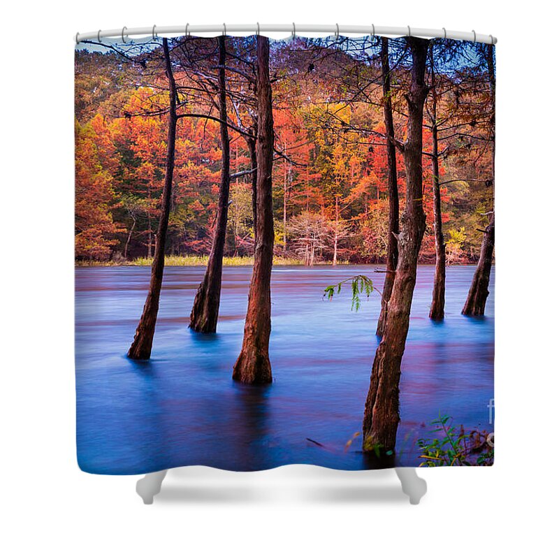 America Shower Curtain featuring the photograph Sunset Cypresses by Inge Johnsson