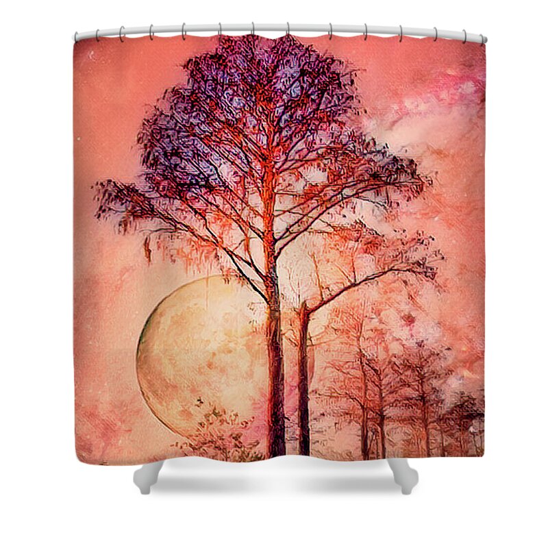 Fall Shower Curtain featuring the photograph Sunset Fire by Debra and Dave Vanderlaan