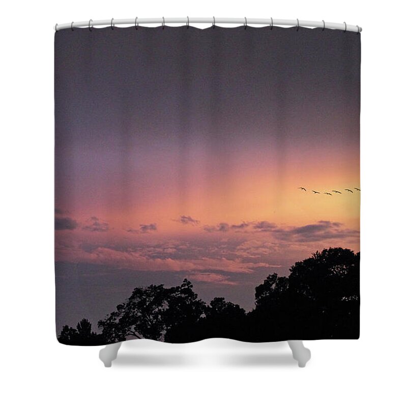 Sunset Shower Curtain featuring the photograph Sunset Flight by Jessica Jenney