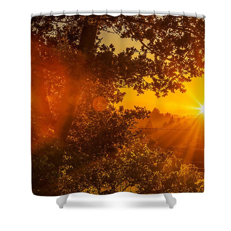 Pacific Shower Curtain featuring the photograph Sunset Fog over the Pacific #3 by Bryant Coffey