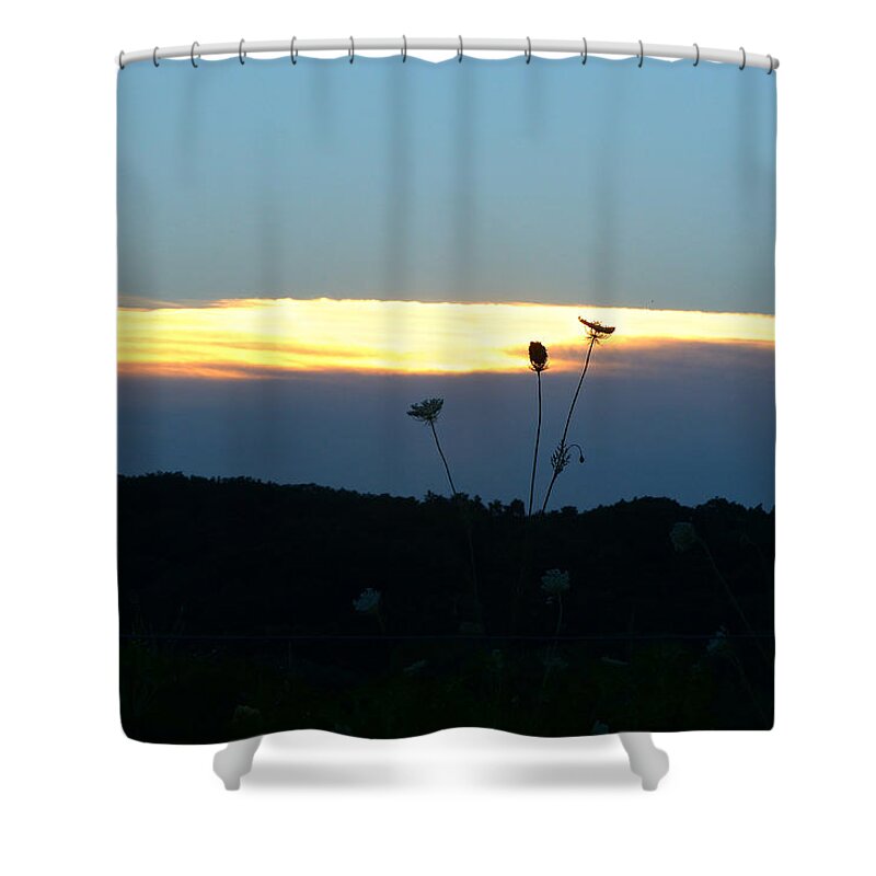 Sunset Shower Curtain featuring the digital art Sunset Gold Stripe Queen Anne by Jana Russon