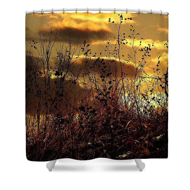 Grass Shower Curtain featuring the photograph Sunset Grasses by Julie Hamilton