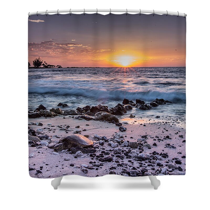 Sam Amato Photography Shower Curtain featuring the photograph Sunset Hawaiian Turtle by Sam Amato