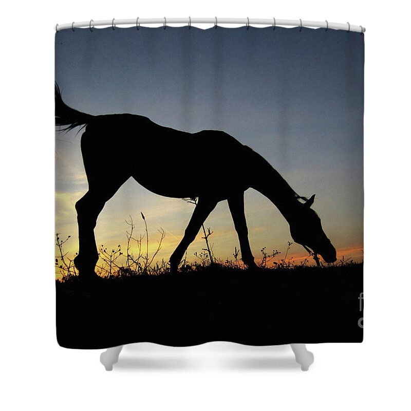 Horse Shower Curtain featuring the photograph Sunset Horse by Dimitar Hristov