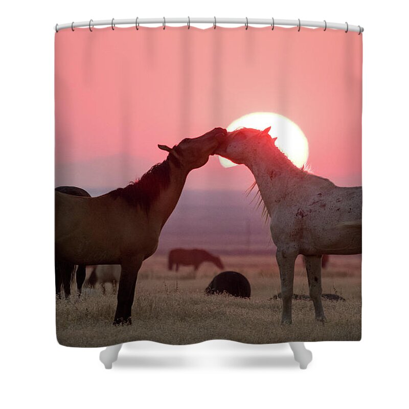 Wild Horses Shower Curtain featuring the photograph Sunset Horses by Wesley Aston