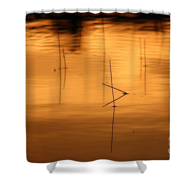 Sunset Shower Curtain featuring the photograph Sunset on the water by Deena Withycombe