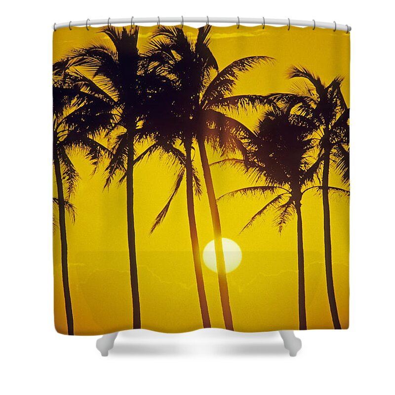 Adult Shower Curtain featuring the photograph Sunset Palms And Family by Carl Shaneff - Printscapes