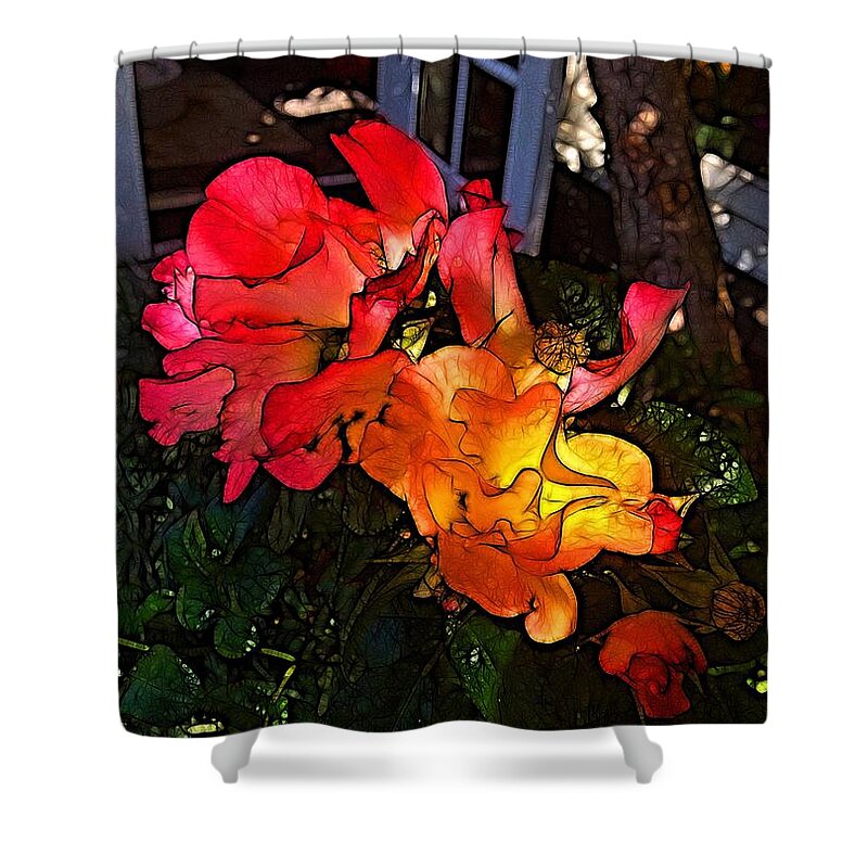 Rose Shower Curtain featuring the photograph Sunset Rose of California by Nick Heap