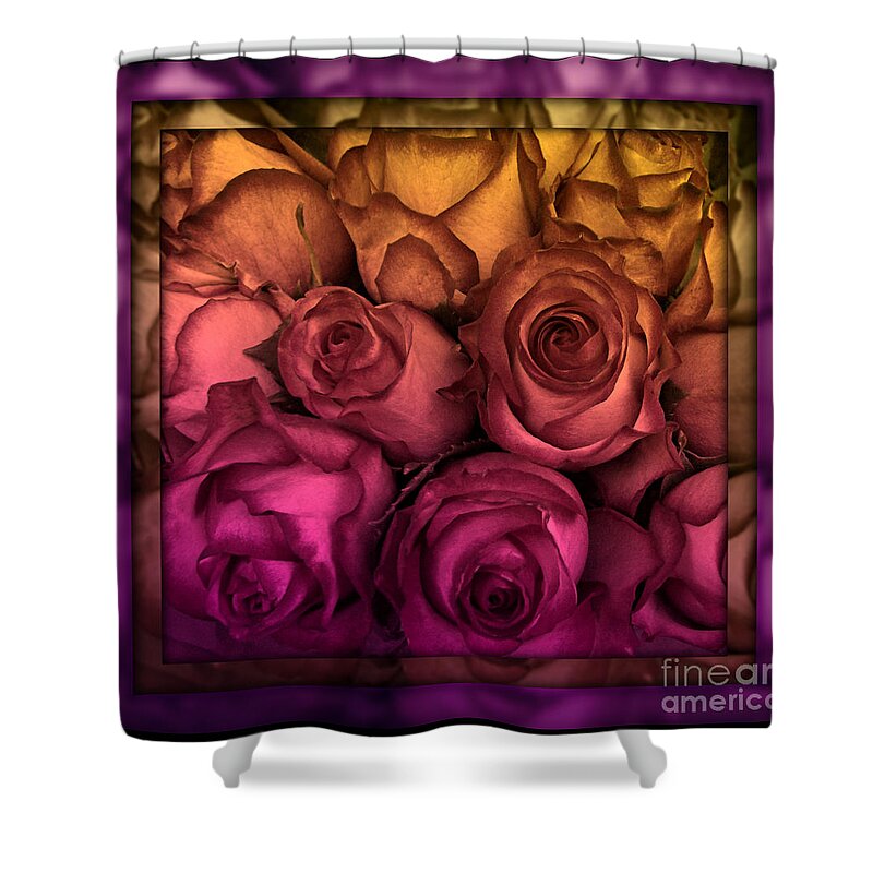 Stained Glass Shower Curtain featuring the photograph Sunset Rose - Stained Glass Series by Miriam Danar