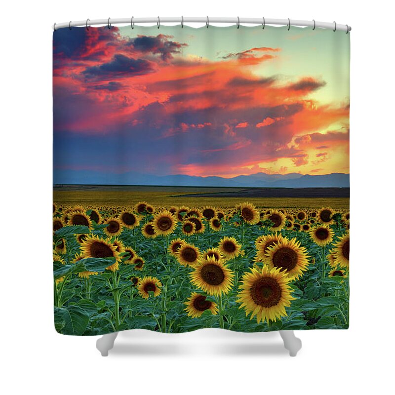 Colorado Shower Curtain featuring the photograph Sunset Skies and Sunflowers by John De Bord