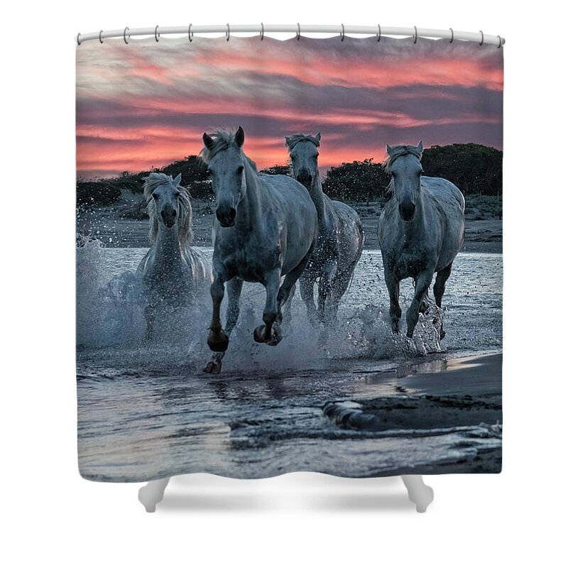 Sunset Shower Curtain featuring the photograph Sunset Splash by Wade Aiken