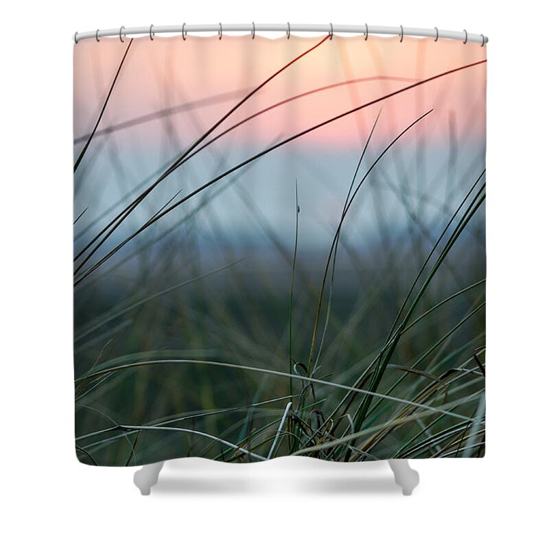 Sun Shower Curtain featuring the photograph Sunset through the marsh grass by Spikey Mouse Photography