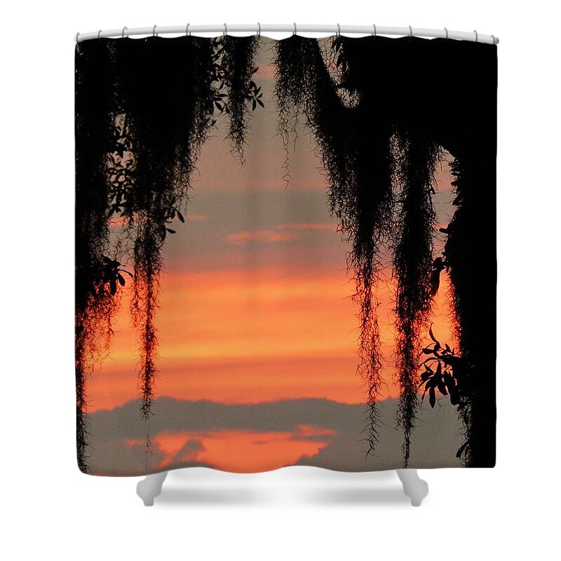 Sunset Shower Curtain featuring the photograph Sunset Through The Moss by Jan Gelders