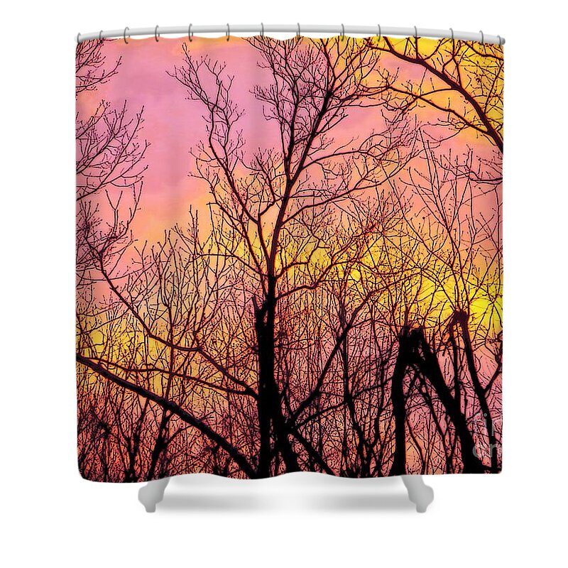Sunset Sunsets Sky Color Tree Trees Craig Walters Photo Photograph Shower Curtain featuring the photograph Sunset Through the Trees by Craig Walters