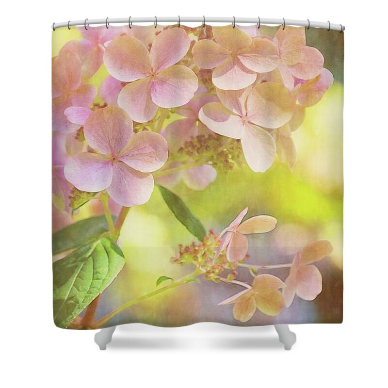 Pink Shower Curtain featuring the photograph Sunshine Soft by Peggy Hughes