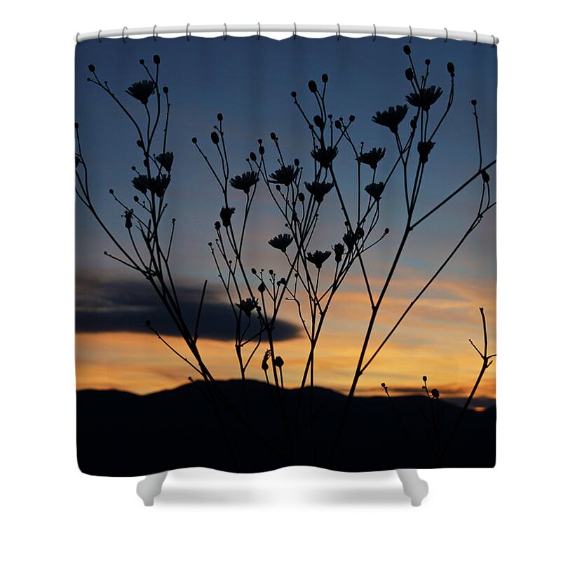 Superbloom 2016 Shower Curtain featuring the photograph Superbloom Sunset in Death Valley 103 by Daniel Woodrum