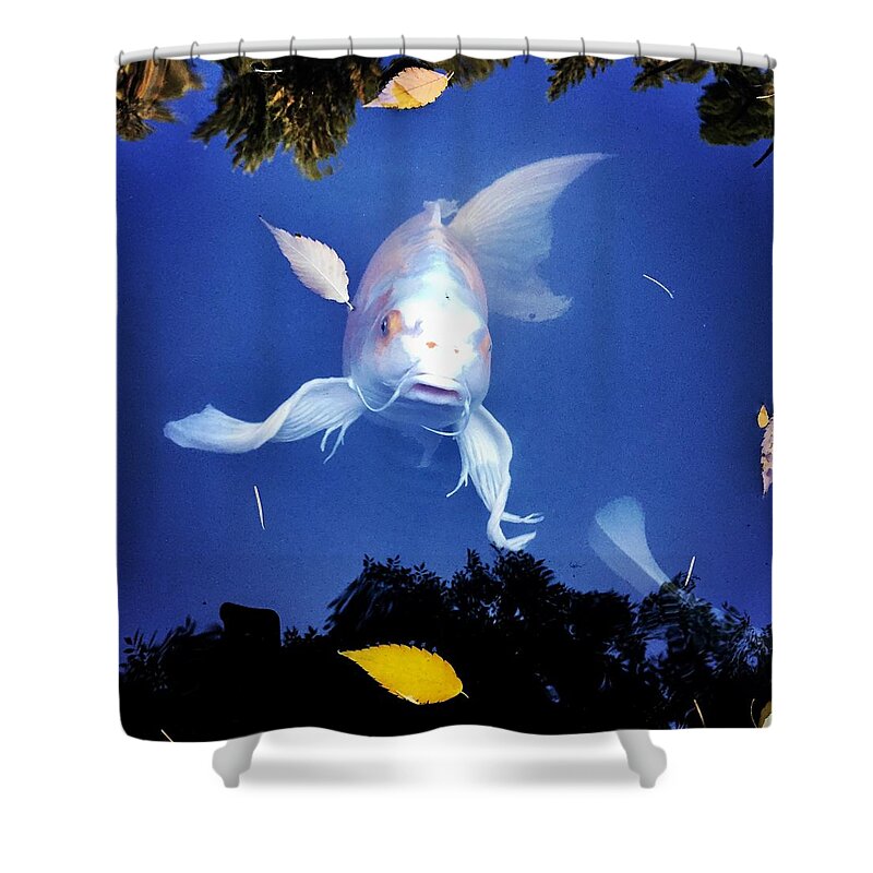 Coy Fish Zen Shower Curtain featuring the photograph Supercoy by Lauren Serene