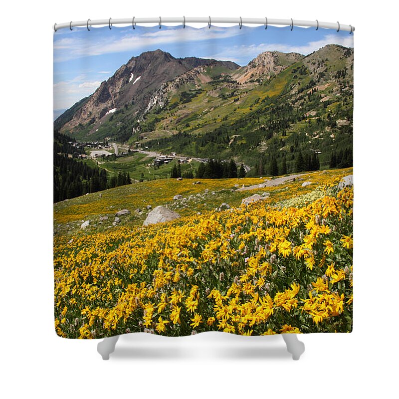 Landscape Shower Curtain featuring the photograph Superior Wasatch Wildflowers by Brett Pelletier
