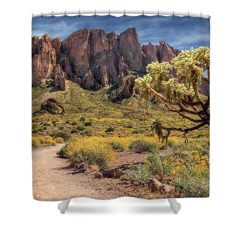 Superstition Mountains Shower Curtain featuring the photograph Superstition Mountain Cholla by James Eddy
