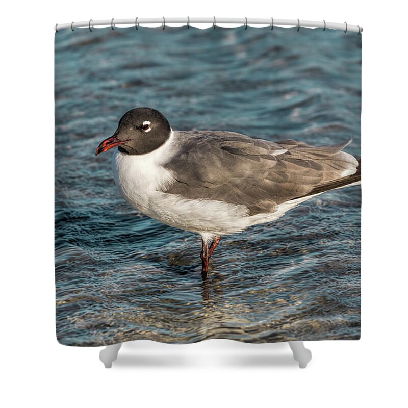 Beach Shower Curtain featuring the photograph Surf Fishing by John M Bailey