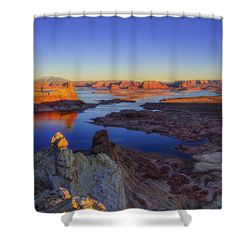 Nature Shower Curtain featuring the photograph Surreal Alstrom by Chad Dutson
