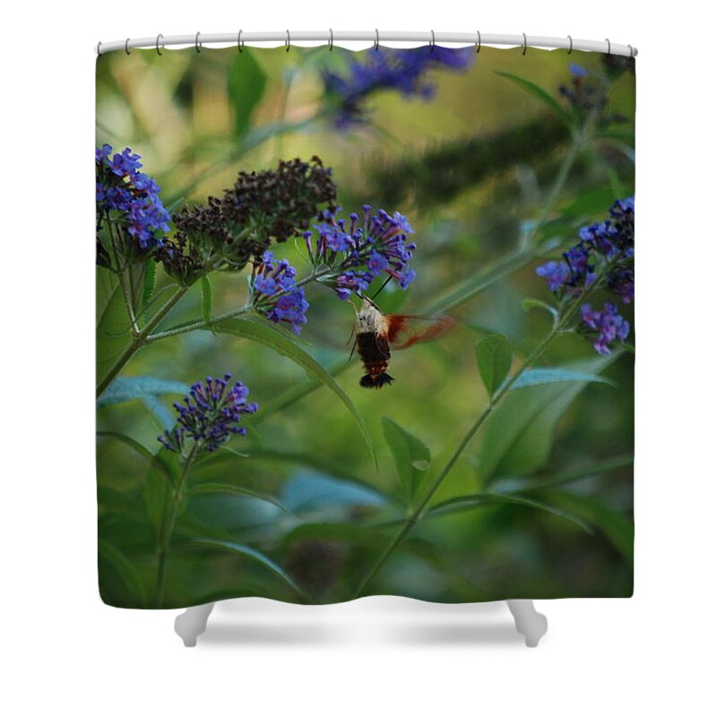 Moth Shower Curtain featuring the photograph Surrounded by Butterfly Bushes by Lori Tambakis
