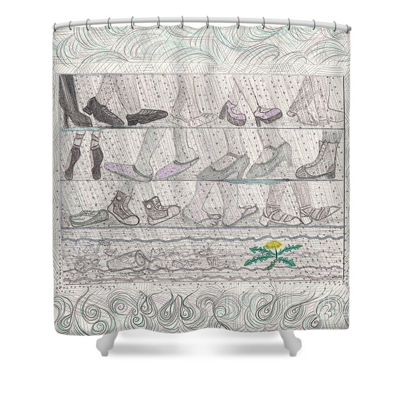  Shower Curtain featuring the drawing Survival of the Urban Dandelion by jrr by First Star Art