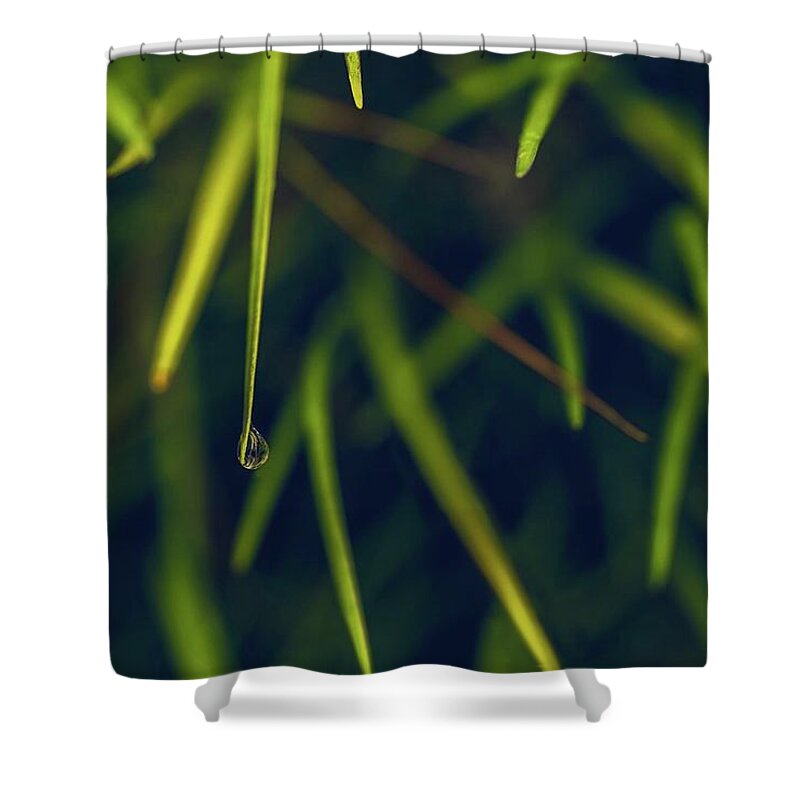Dew Shower Curtain featuring the photograph Suspended by Gene Garnace