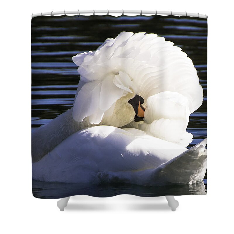 Swan Shower Curtain featuring the photograph Swan Prince by Cathy Donohoue