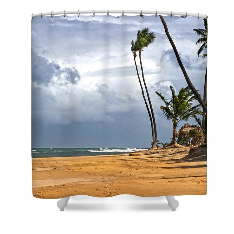 Palms Shower Curtain featuring the photograph Sway by Robert Och