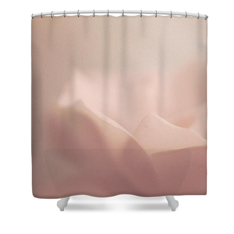 Rose Art Shower Curtain featuring the photograph Sweet Angel Rose by The Art Of Marilyn Ridoutt-Greene