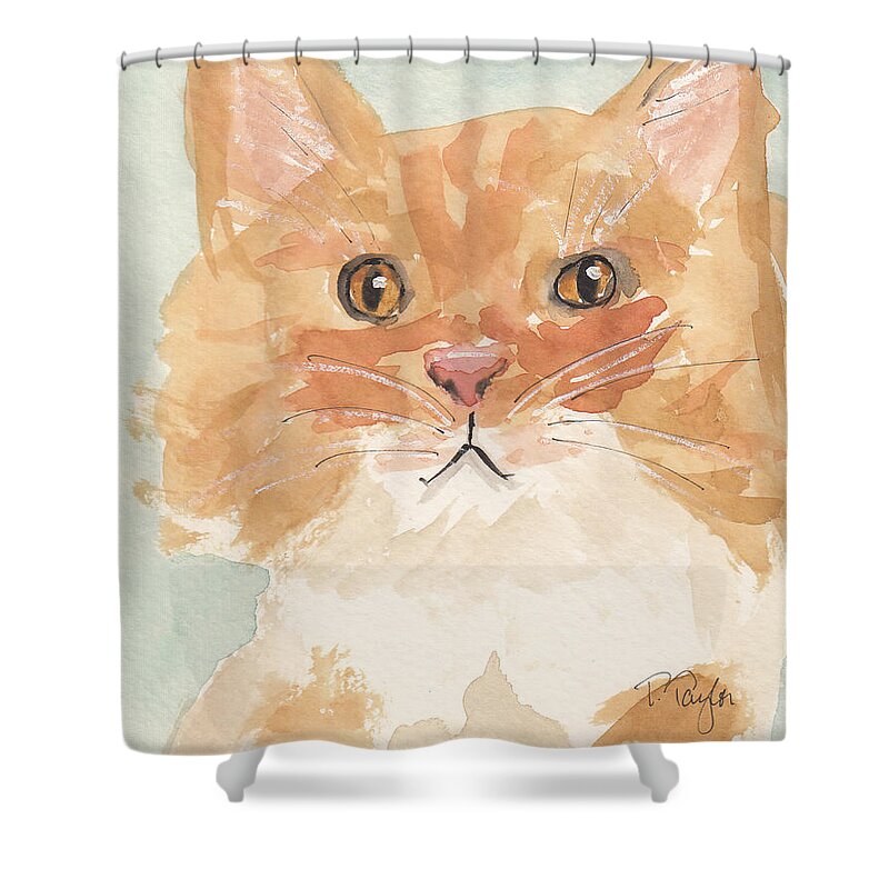 Cat Shower Curtain featuring the painting Sweet Attitude by Terry Taylor