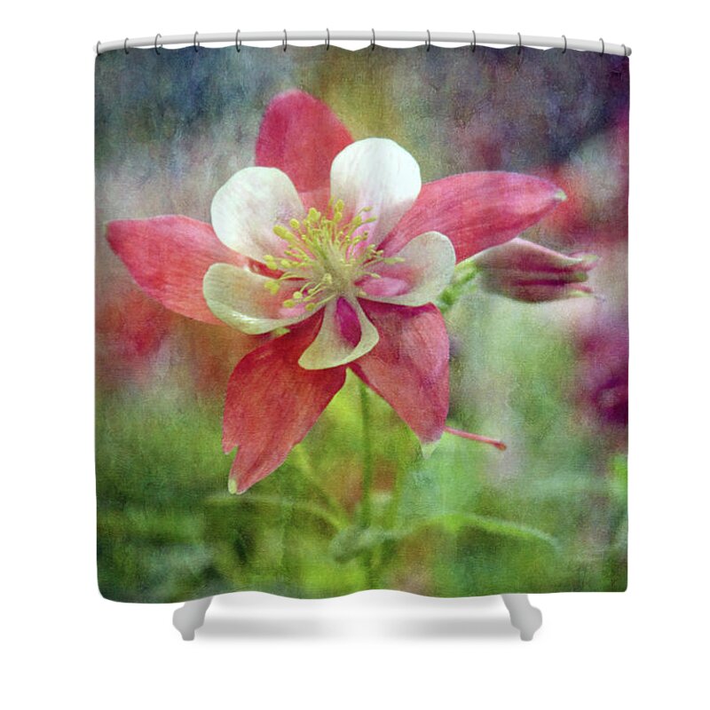 Impressionist Shower Curtain featuring the photograph Sweet Columbine 9281 IDP_2 by Steven Ward