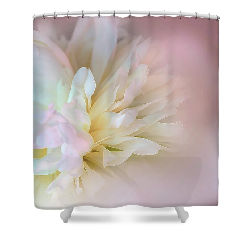 Photography Shower Curtain featuring the digital art Sweet Dahlia by Terry Davis