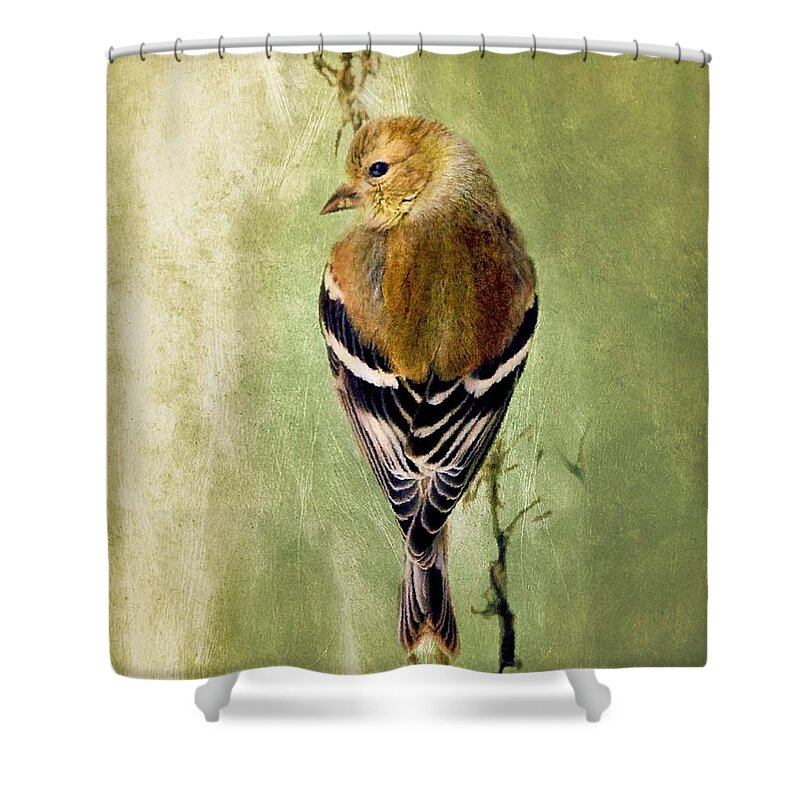 American Goldfinch Shower Curtain featuring the painting Sweet Goldfinch by Tina LeCour
