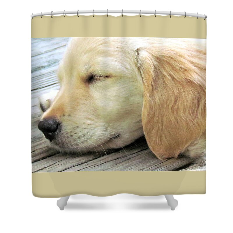 Dog Shower Curtain featuring the photograph Sweet Sleepy Sophie by Lori Lafargue