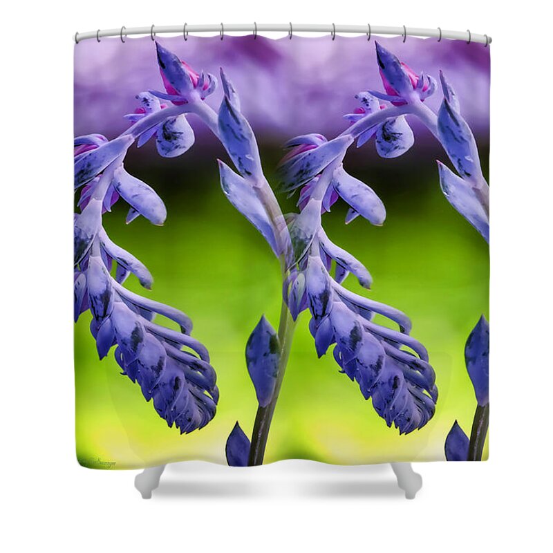 Succulent Shower Curtain featuring the photograph Succulent Swirl #1 by Lucy VanSwearingen
