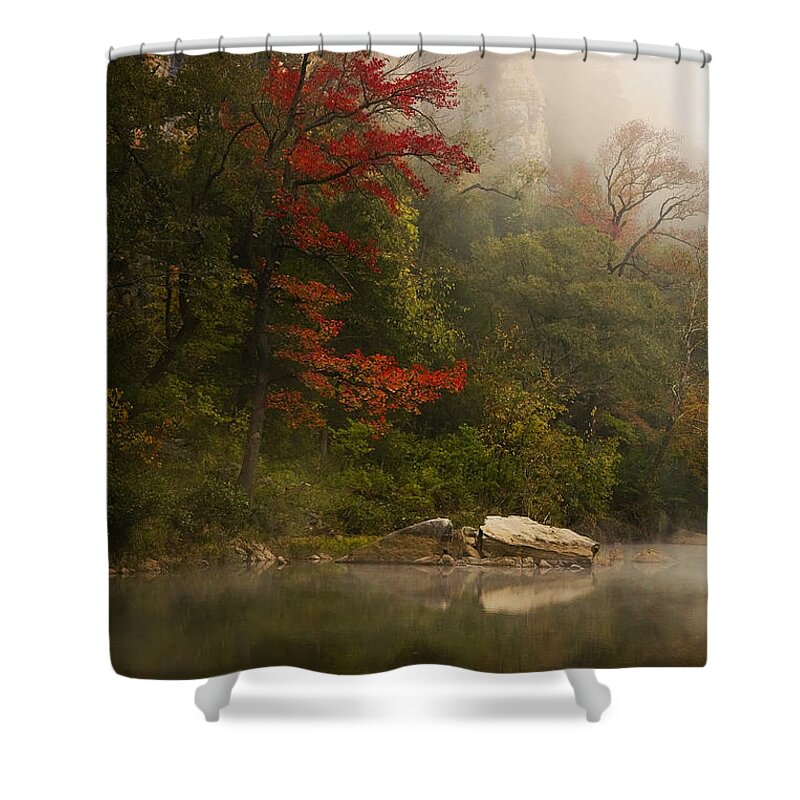 Sweetgum In The Mist Shower Curtain featuring the photograph Sweetgum in the Mist at Steel Creek by Michael Dougherty